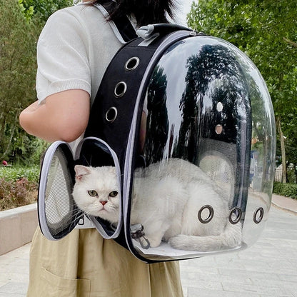 Transparent Cat Carrying Bag